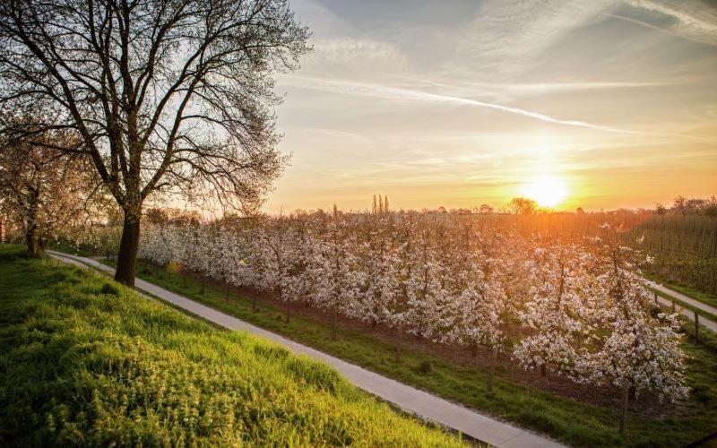 't Poorthof Bed and Breakfast Borgloon Buitenkant foto